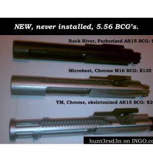 New BCG all 3 110113