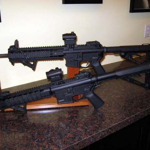 Colt LT6720-R (rear) and M&P15-22 MOE (front)